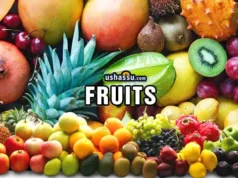 Fruits-Pandu-Kayalu