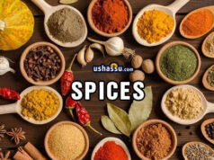 Indian Spices