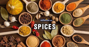 Indian Spices