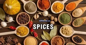 Indian Spices-Masale List