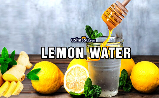 Lemon-Nimmakaya-Water