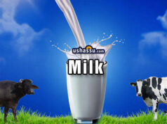 Milk-Doodh-Palu