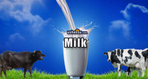 Milk-Doodh-Palu