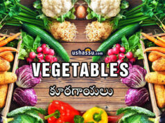 Vegetables-Kuragayalu-Sabji