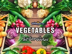 Vegetables-Kuragayalu-Sabji