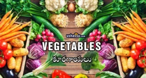 Vegetables-Kuragayalu-Sabji